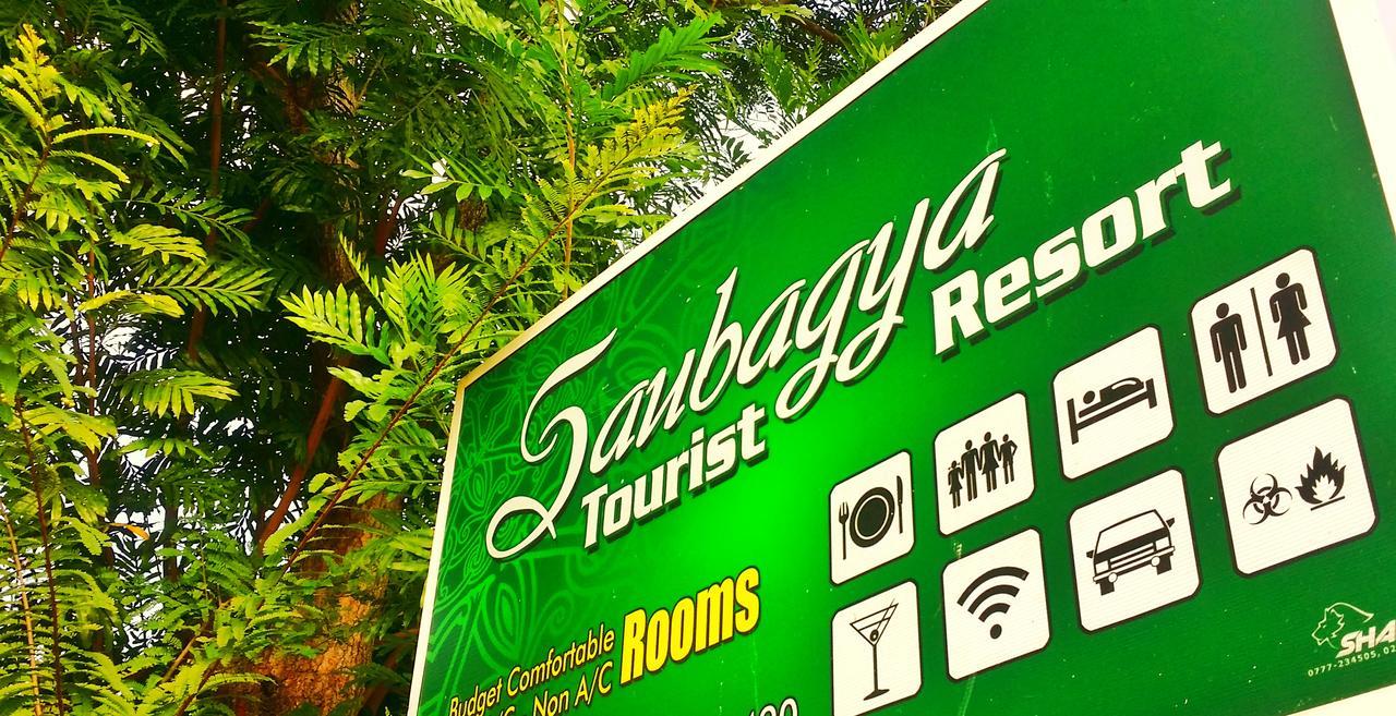 Saubagya Inn Anuradhapura Exterior photo